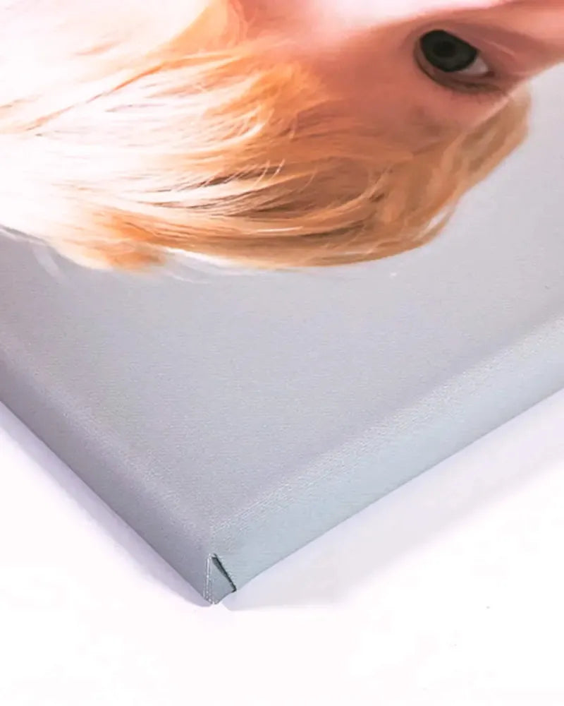 Premium Thick Canvas